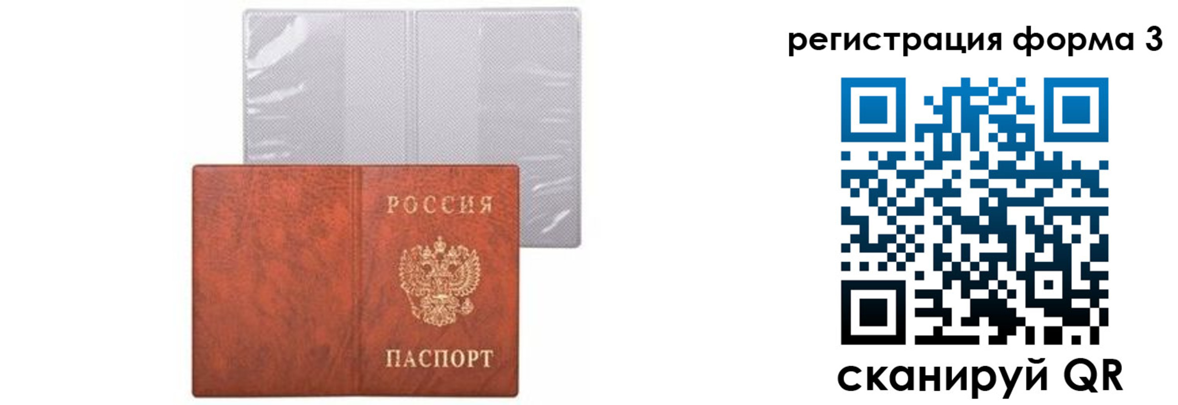 прописка 2025 в Мурманской области